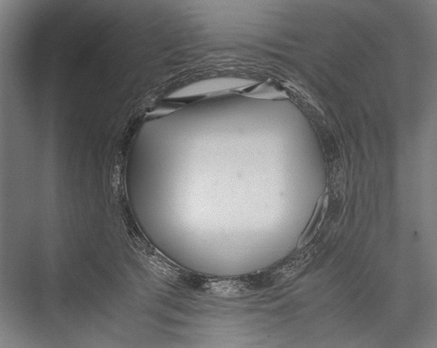 X0000075410417200610062002