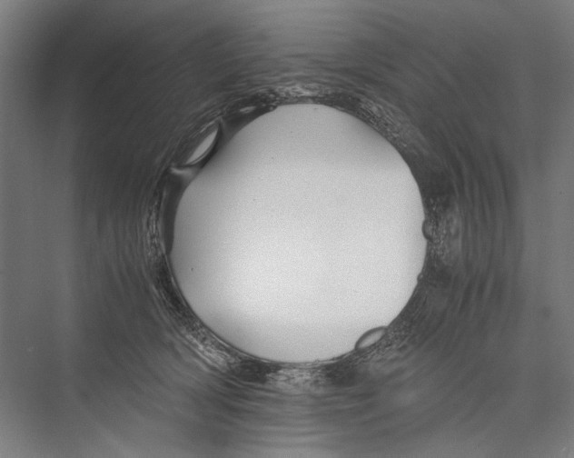 X0000075410418200610062002