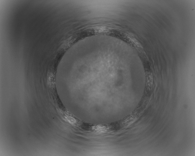 X0000075410419200610062002