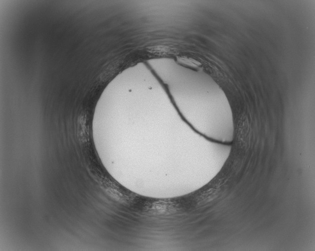 X0000075410420200610062002