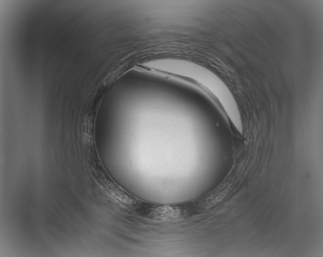 X0000075410421200610062002