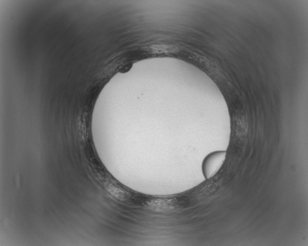 X0000075410422200610062002