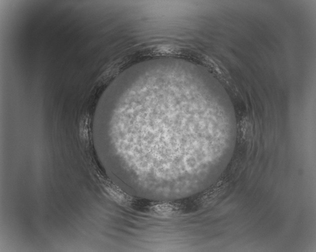 X0000075410423200610062002