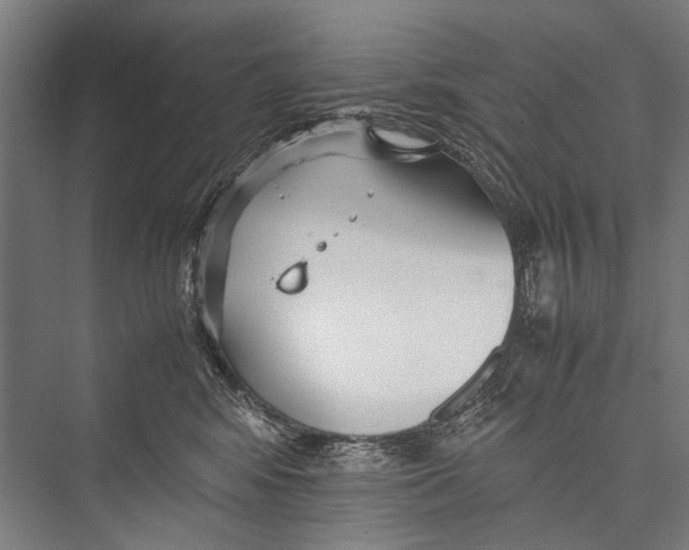 X0000075410424200610062002