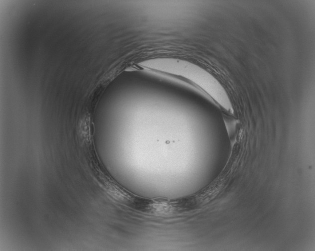 X0000075410425200610062002