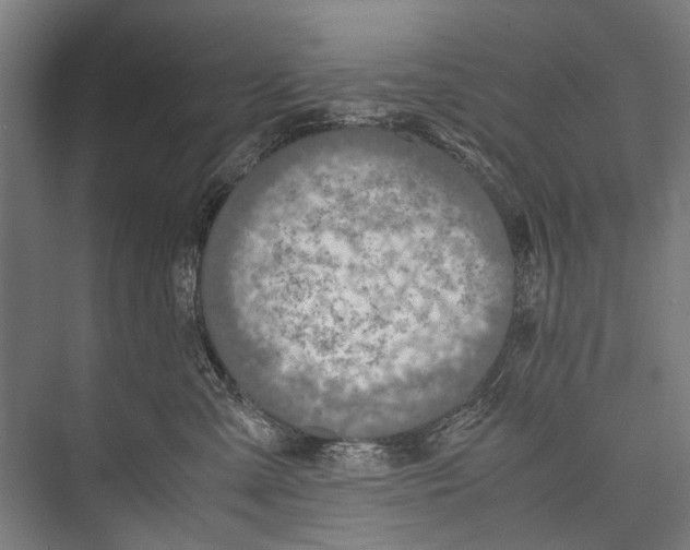 X0000075410427200610062002