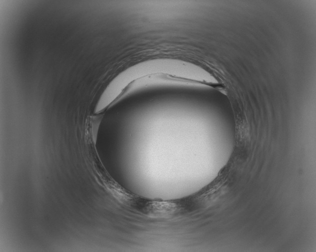 X0000075410429200610062002