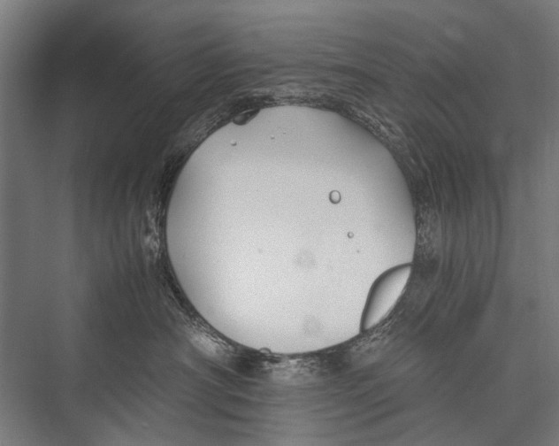 X0000075410430200610062002