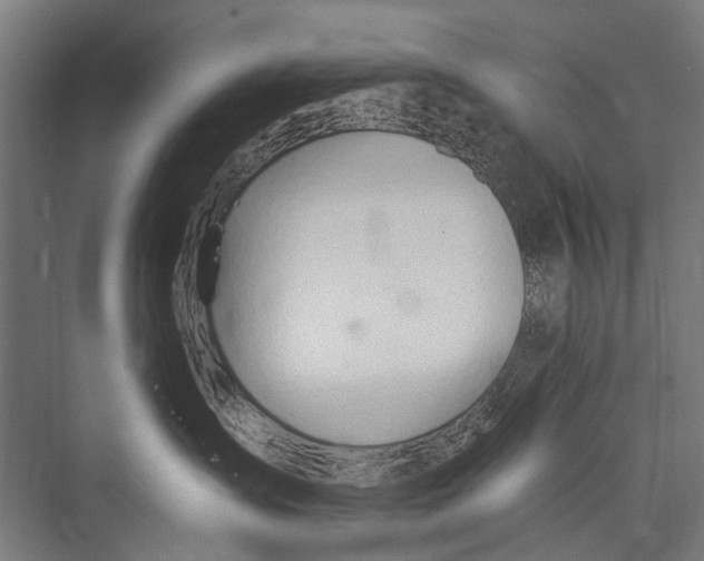 X0000075410431200610062002