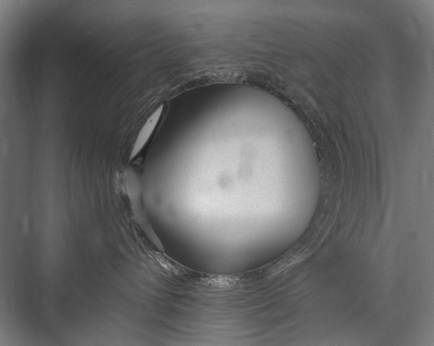 X0000075410432200610062002