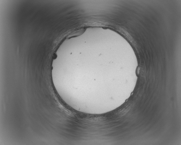 X0000075410433200610062001