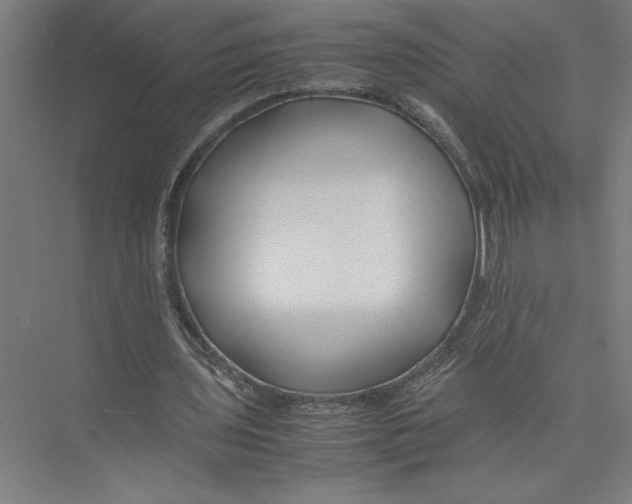 X0000075410435200610062001