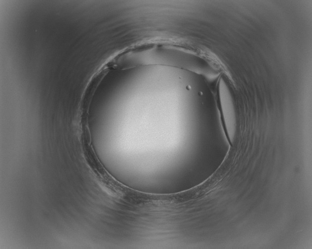 X0000075410436200610062001