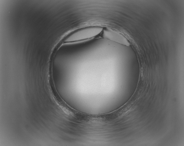 X0000075410438200610062001