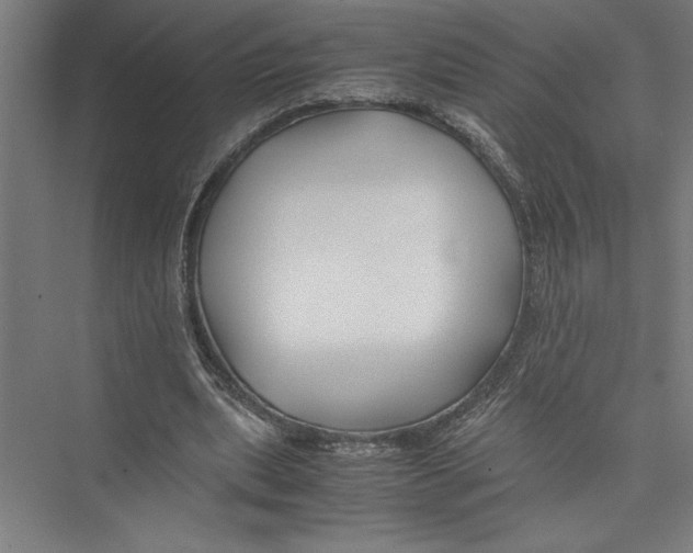 X0000075410439200610062001