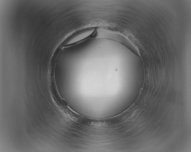 X0000075410440200610062001