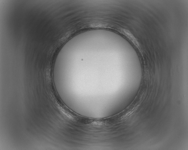 X0000075410441200610062001