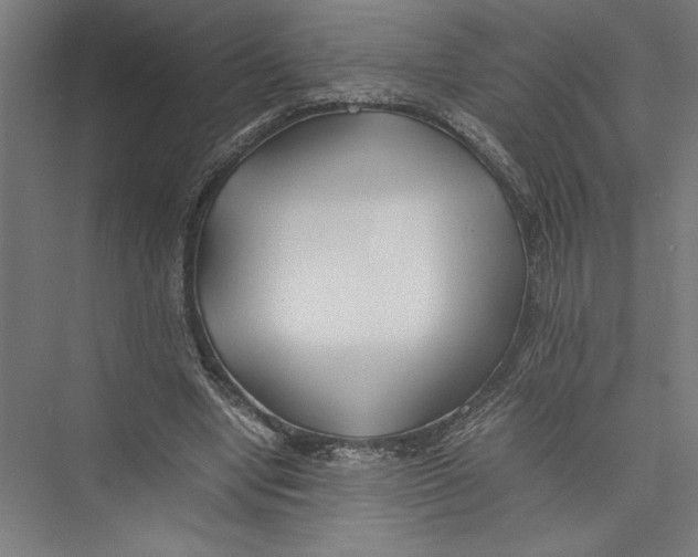 X0000075410442200610062001