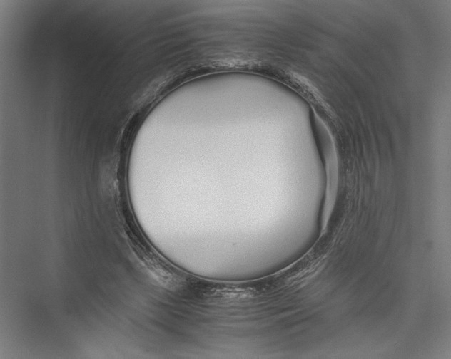 X0000075410443200610062001