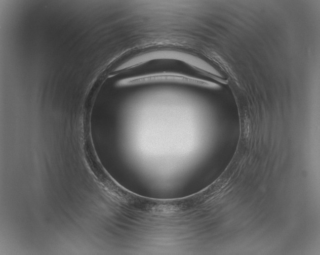 X0000075410444200610062001