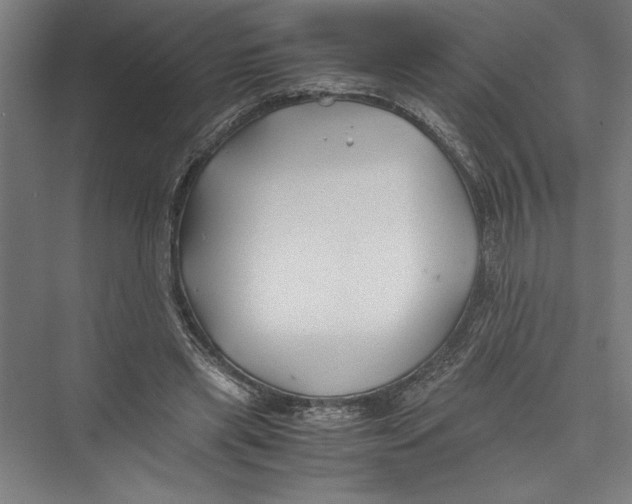 X0000075410445200610062001