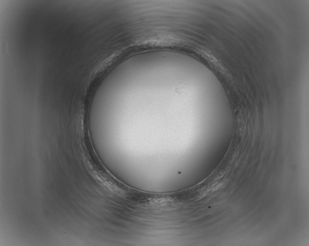 X0000075410446200610062001