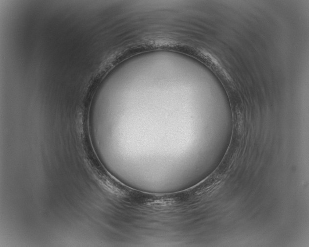 X0000075410447200610062001