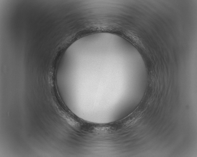 X0000075410450200610062002