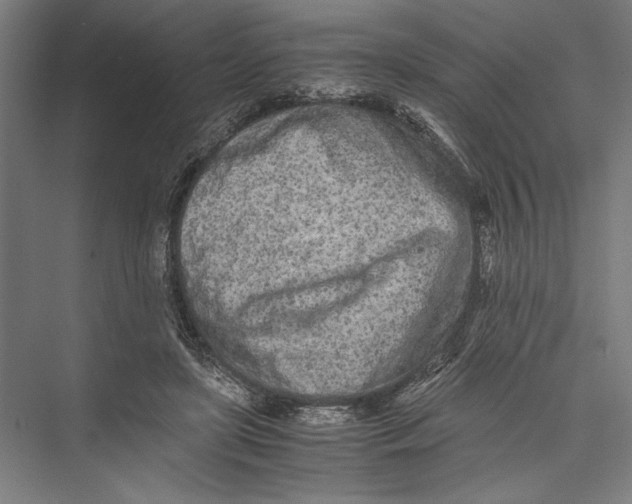 X0000075410451200610062002