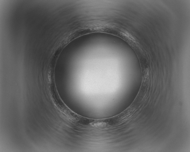 X0000075410452200610062002