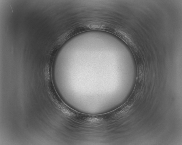 X0000075410453200610062002