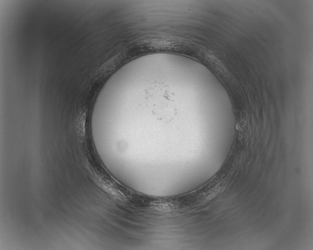 X0000075410454200610062002