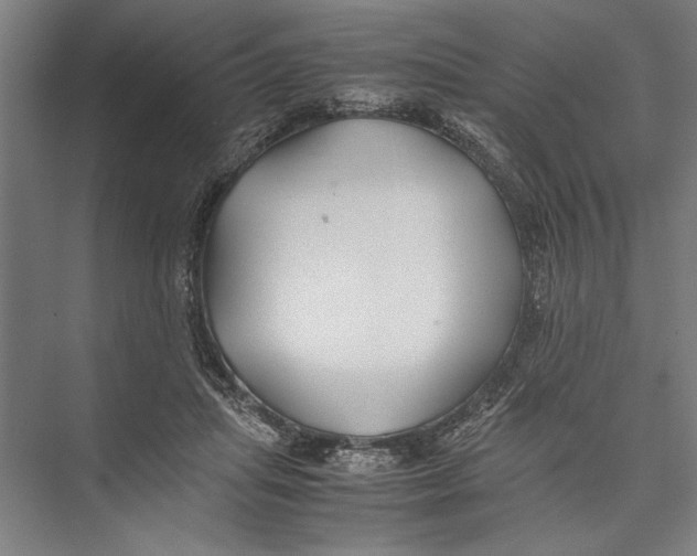 X0000075410455200610062002