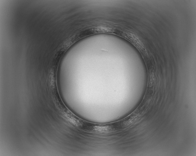 X0000075410457200610062002