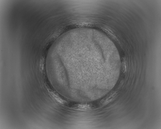 X0000075410458200610062002