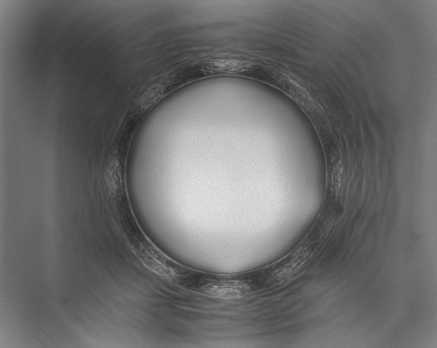 X0000075410459200610062002