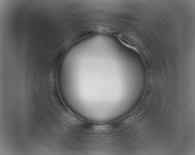 X0000075410461200610062002