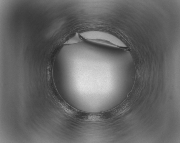 X0000075410462200610062002