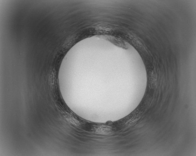 X0000075410463200610062002