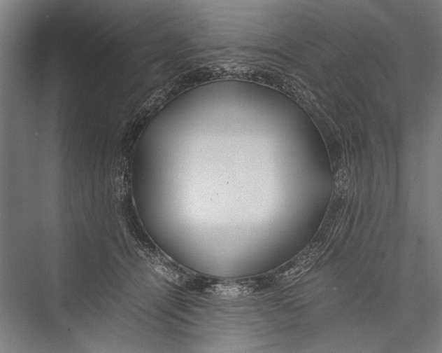 X0000075410464200610062002