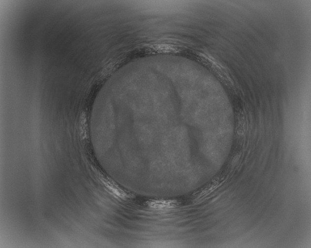 X0000075410465200610062002