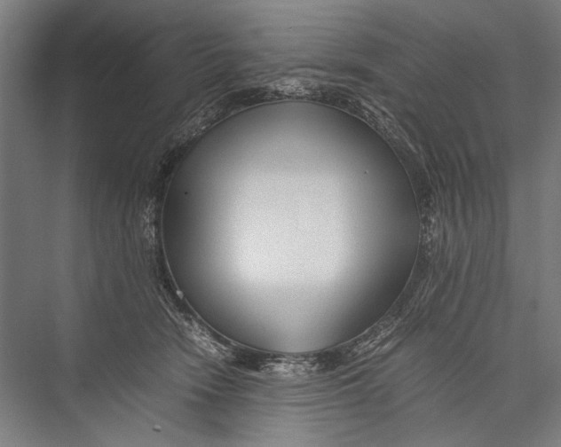 X0000075410466200610062002