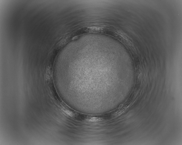 X0000075410467200610062002