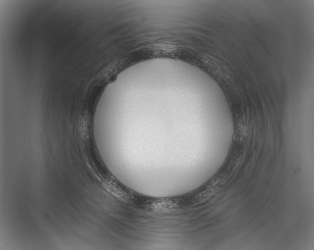 X0000075410468200610062002