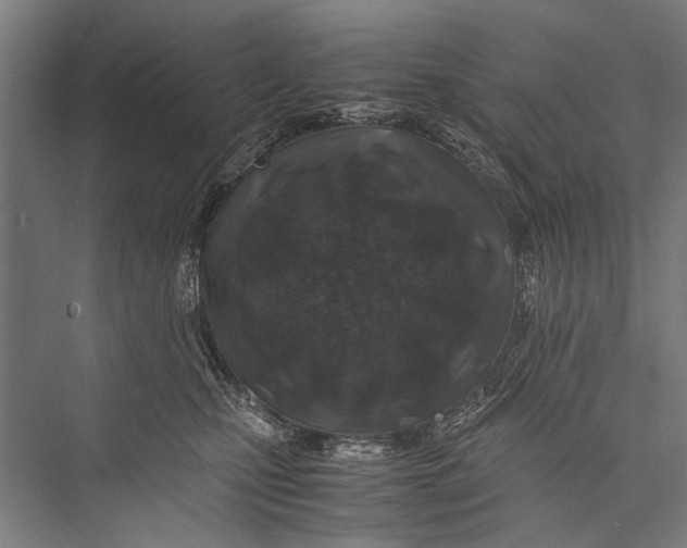 X0000075410471200610062002