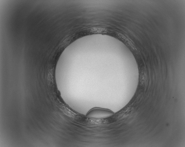 X0000075410473200610062002