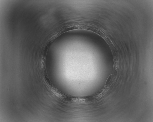 X0000075410476200610062002