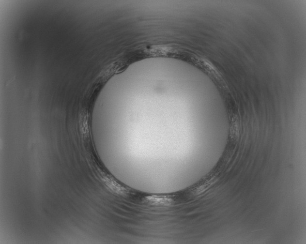 X0000075410477200610062002