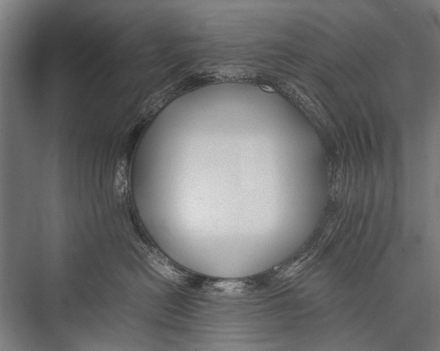 X0000075410478200610062002