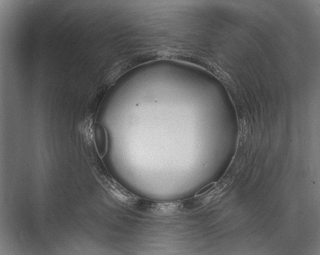 X0000075410479200610062002